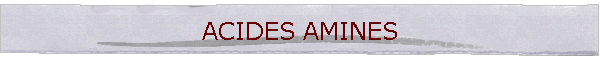 ACIDES AMINES