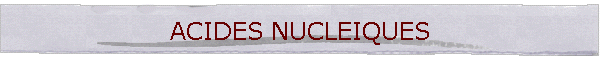 ACIDES NUCLEIQUES
