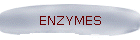 ENZYMES